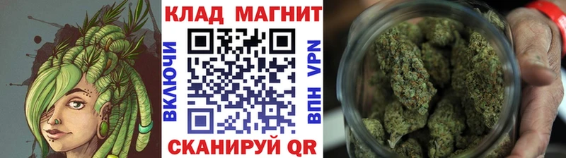 Где купить Сасово Каннабис  Псилоцибиновые грибы  Гашиш  Амфетамин  Мефедрон  Метамфетамин  Альфа ПВП 