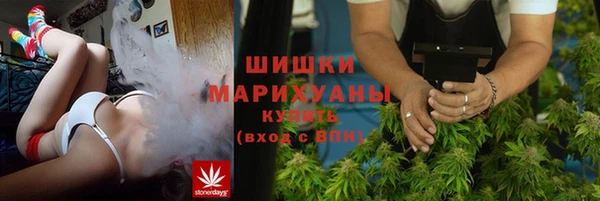 стаф Зерноград