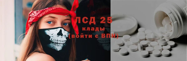 стаф Зерноград