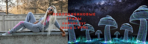 spice Зеленодольск