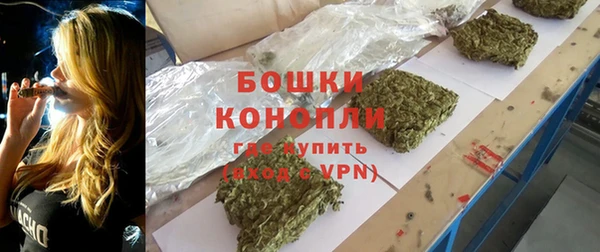 стаф Зерноград