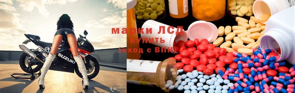 стаф Зерноград